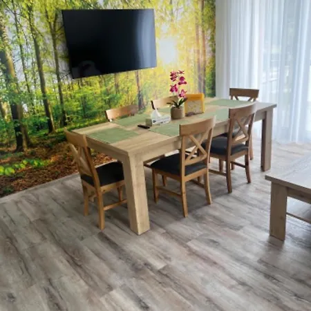 Apartman - Dolni Morava - 